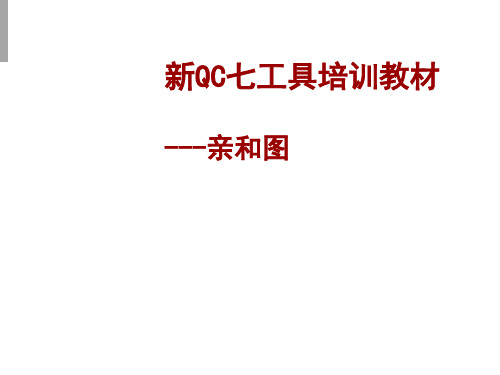 PMP 亲和图讲解