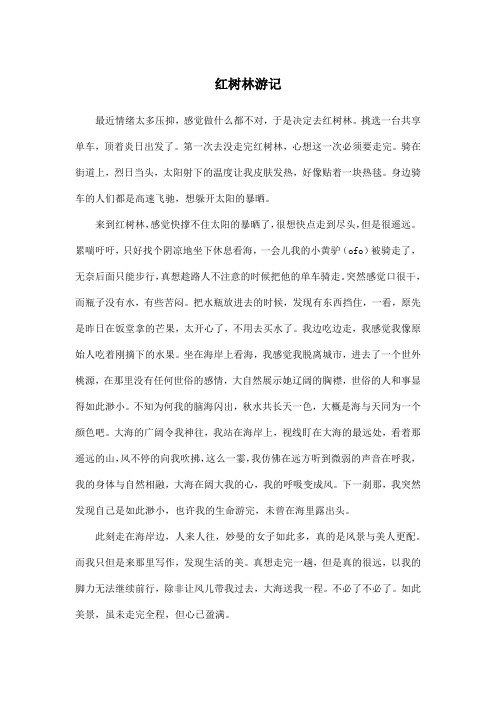 红树林游记