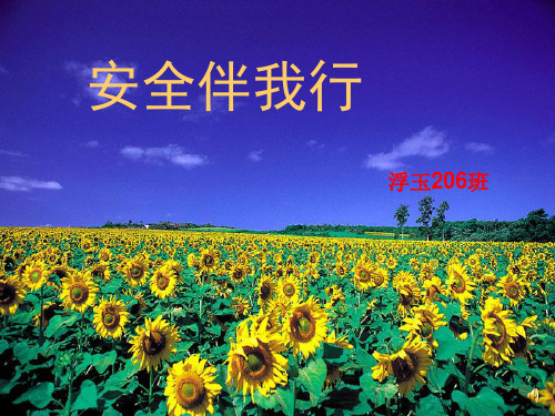一年级《安全伴我行》主题班会ppt
