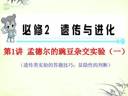 高考生物第1轮总复习 第1讲 孟德尔的豌豆杂交实验(一)课件 新人教版必修2(福建专版)