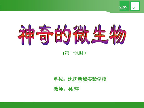 苏教版初中生物八上第5单元第十四章第三节《神奇的微生物》 课件 (共24张PPT)