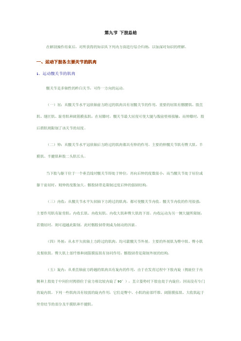 下肢总结