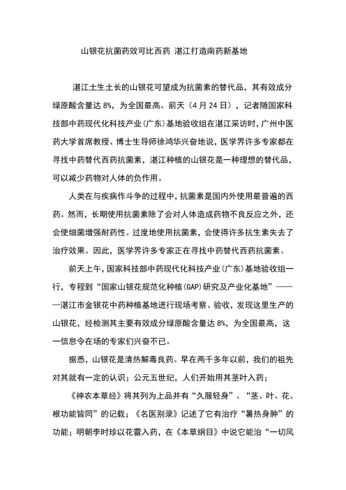 山银花抗菌药效可比西药