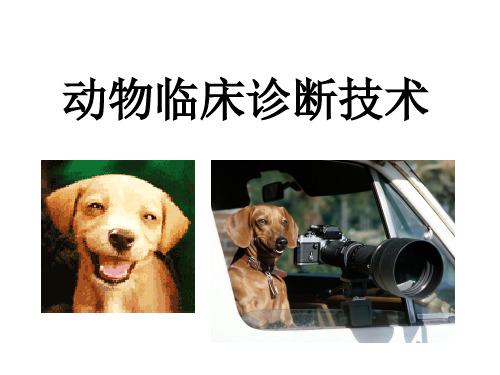 3.1动物临床诊断学