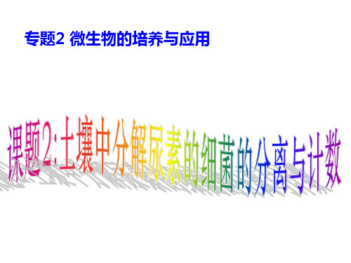 专题2：课题2 土壤中分解尿素的细菌的分离与计数