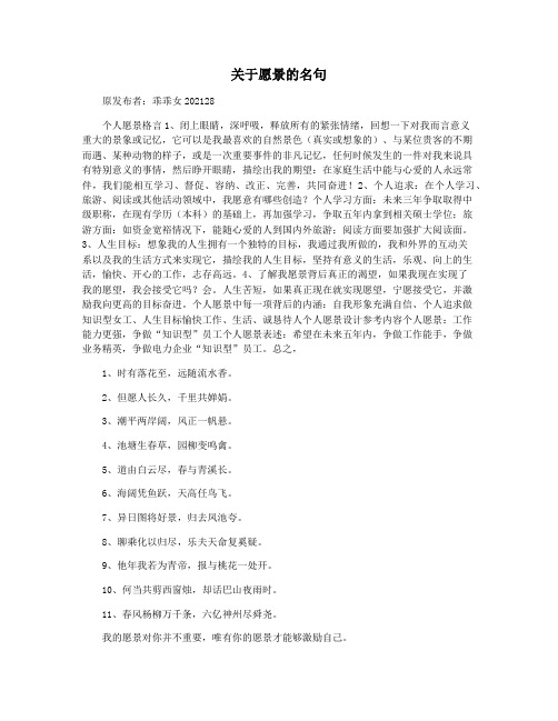 关于愿景的名句