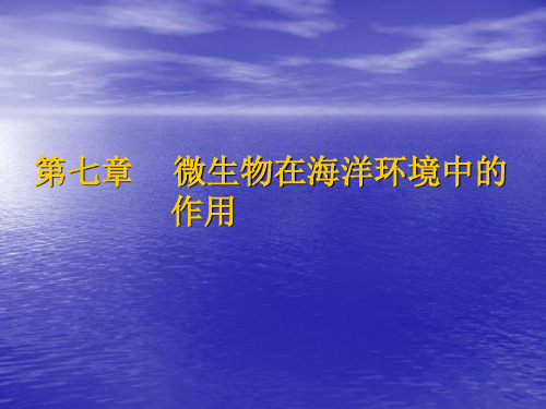 (1)第一篇 第七章  微生物在海洋环境中的作用