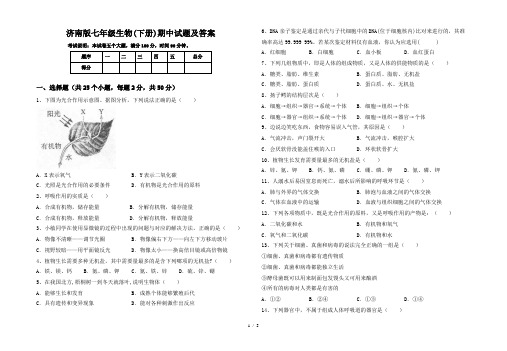 济南版七年级生物(下册)期中试题及答案