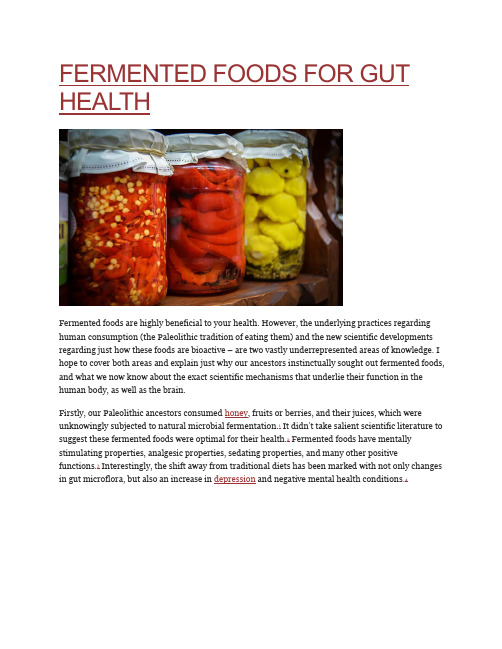 FERMENTED FOODS FOR GUT HEALTH