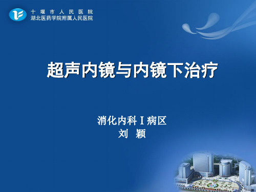 超声内镜与内镜下治疗PPT参考幻灯片