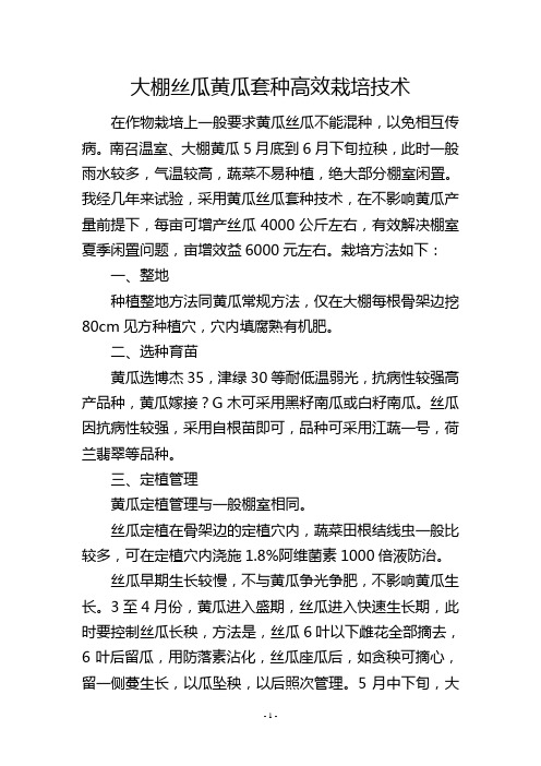 大棚丝瓜黄瓜套种高效栽培技术