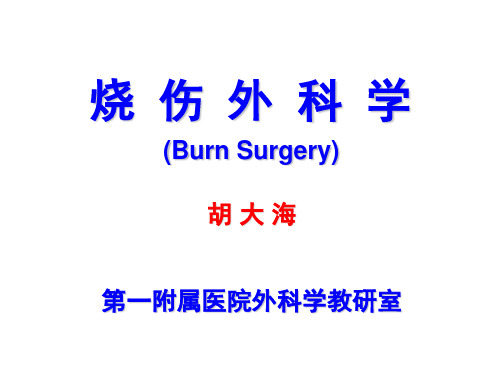烧 伤 外 科 学 (2)