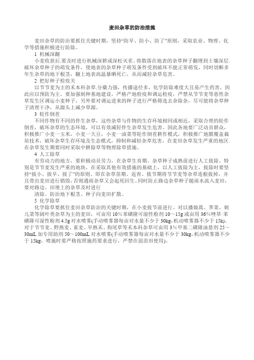 麦田杂草的防治措施