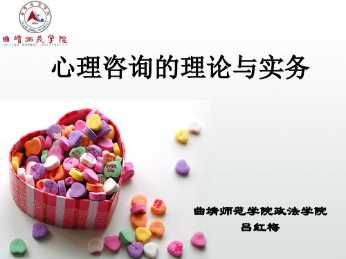 第七章咨询过程：深入