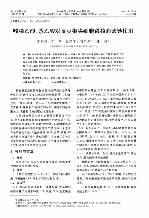 吲哚乙酸、萘乙酸对蚕豆根尖细胞微核的诱导作用