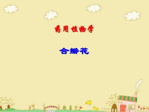 药用植物学：合瓣花