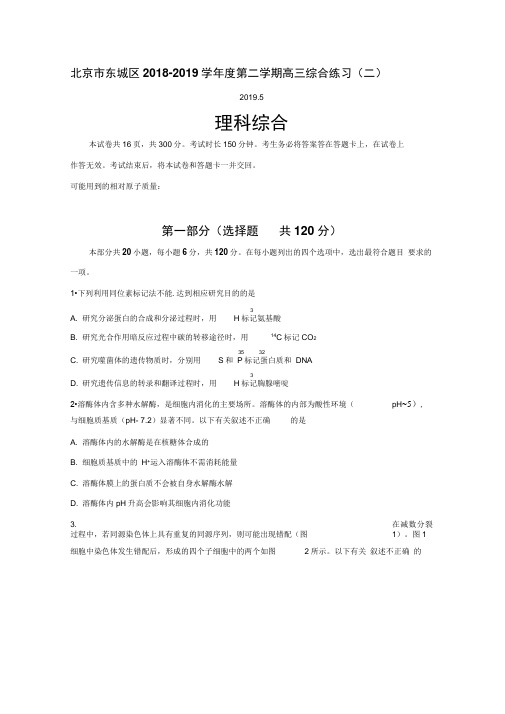 北京市东城区2019届高三下学期综合练习(二模)理科综合试题Word版