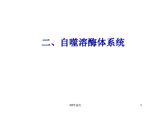 自噬研究的相关知识  ppt课件