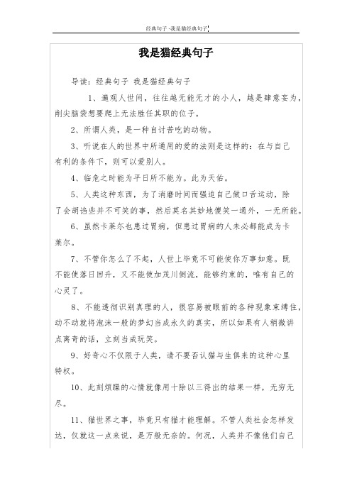 我是猫经典句子