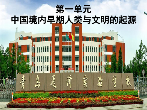 人教部编版历史七年级上册第一单元史前时期中国境内人类的活动复习课件 (共16张PPT)