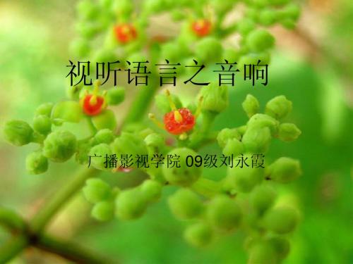 音响