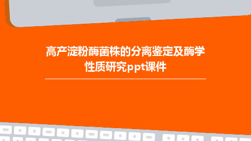 高产淀粉酶菌株的分离鉴定及酶学性质研究PPT课件