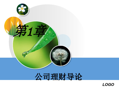公司理财导论主要内容结构.pptx