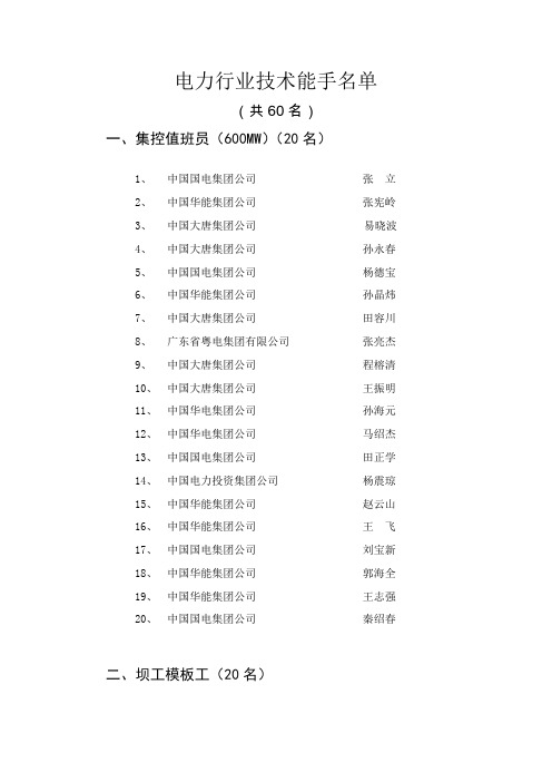 电力行业技术能手名单
