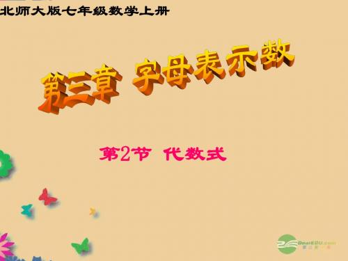 七年级数学上册3.2代数式课件(新版)北师大版