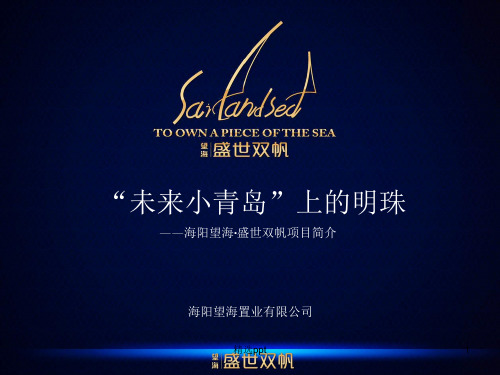 海阳望海·盛世双帆项目简介