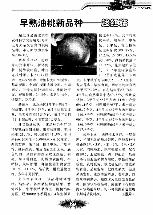 早熟油桃新品种——超红珠