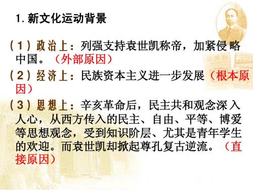 新文化运动  人教版