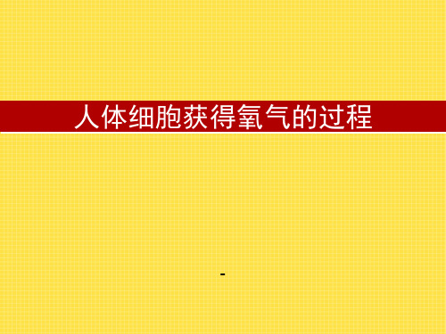 202X北师大版生物七年级下册10.2《人体细胞获得氧气的过程》(第1课时)ppt课件