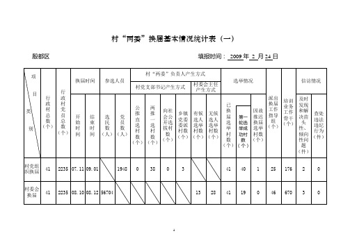 村“两委”换届统计表