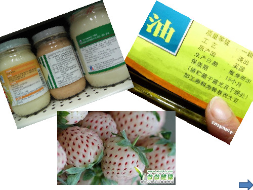 关于转基因食品的科普活动报告 共18页