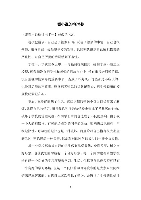 看小说的检讨书