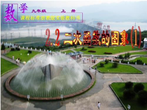 2.2 浙教版二次函数的图象(1)