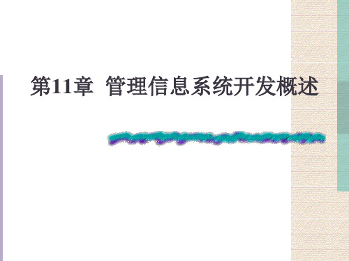 第11章  管理信息系统开发