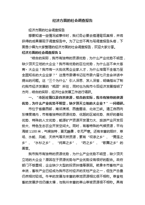 经济方面的社会调查报告