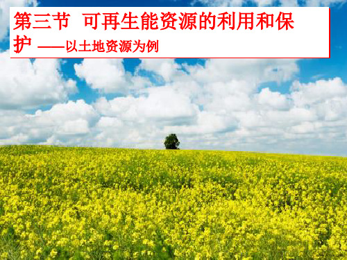人教版高中地理选修六第三章第三节可再生资源的合理利用和保护  (共31张PPT)