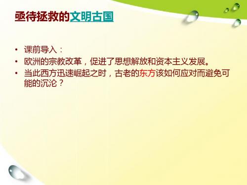 《亟待拯救的文明古国》课件3