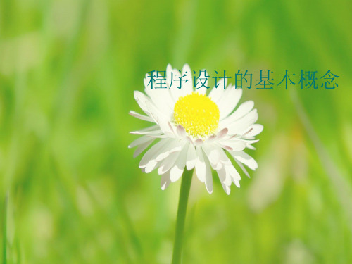 程序设计的基本概念PPT课件