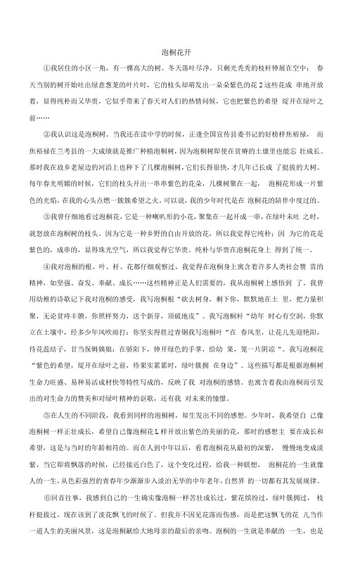 《泡桐花开》阅读练习及答案