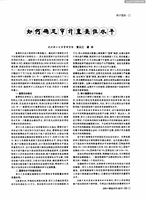 如何确定审计重要性水平