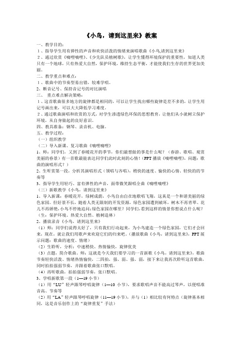 小鸟,请到这里来