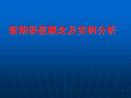 套期保值概念及实例分析ppt课件