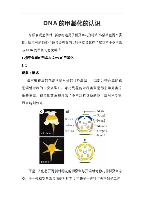 高中生物 DNA的甲基化的认识