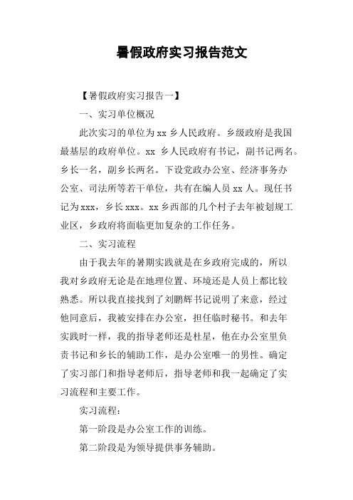 暑假政府实习报告范文
