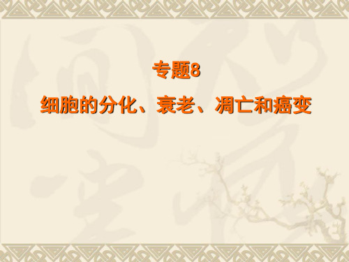人教版2019年高考生物一轮专题复习课件：专题八 细胞的分化、衰老、凋亡和癌变(共34张PPT)