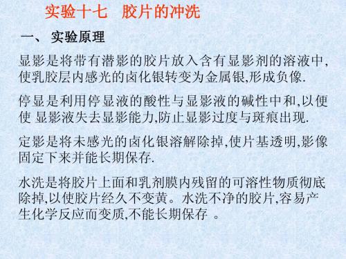 实验十七、胶片的冲洗